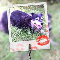 Moja przyjaciółka Sara ...od 13 lat .....jest ...i daje radość i miłość...