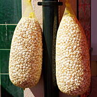 Moje spojrzenie na Portugalię