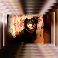 Już tylko ...wspomnienie 