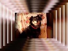 Fot. baryz1, Już tylko ...wspomnienie 