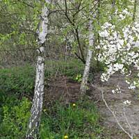 Już tylko ...wspomnienie 