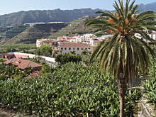 Fot. smakosia, La Palma - maj 2018