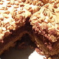 Słonecznik Dżaniny :)