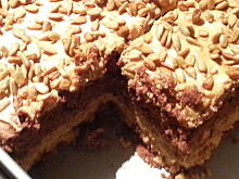 Fot. Dżanina Fonda, Słonecznik Dżaniny :)