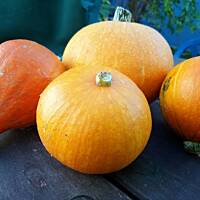 Karmelizowana dynia do obiadu - dar jesieni :)