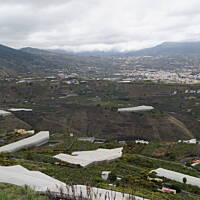 w drodze do parku narodowego - widok na plantacje bananów