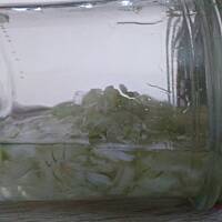 Syrop z cebuli na przeziebienie