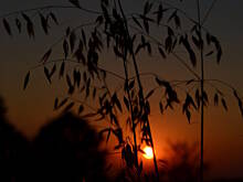 Fot. Danusia155, Zachód słońca