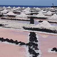 Salinas de Fuencaliente