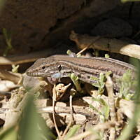 się obserwujemy :-)