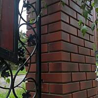 ogrodowo ... cz.5 (juź jesiennie)