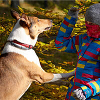 Dwa zbóje i jedno serowe ciastko ;)