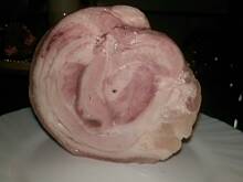 Fot. BalbinaPtys, Golonko z szynkowara