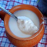 Domowy jogurt naturalny