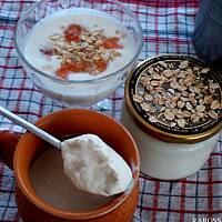 Domowy jogurt naturalny