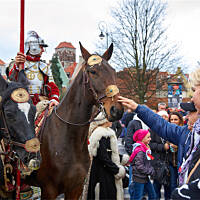Parada Niepodległości 2015