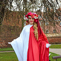 Parada Niepodległości 2015