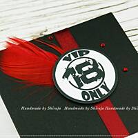 Decoupage, kartki, zaproszenia, albumy, notesy itp