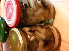 Fot. Edytka291, Marynowane gąski w miodzie.