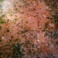 Zupa marchewkowo-imbirowa