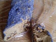 Fot. carolotta, chalwa slonecznikowa z rodzynkami