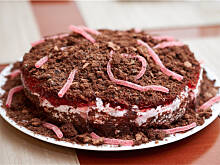 Fot. Wkn, Ciasto robaki w ziemi