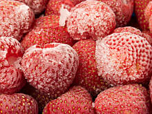 Fot. Wkn, To i owo o mrożeniu