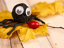 Fot. Wkn, Krabopajączki