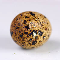 Jak obierać jajka przepiórcze?