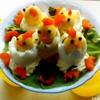 Kurczaczki z jajek