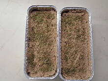 Fot. Klaudia83, PASZTET MIĘSNY