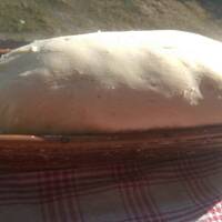 Chleb prosty, szybki, smaczny, który się udaje