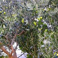 Jesienna Chorwacja :)