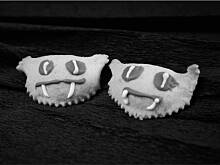 Fot. Wkn, Straszne pierożki I