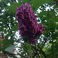 Piękno natury... :)