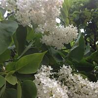 Piękno natury... :)