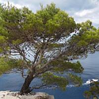 Jesienna Chorwacja :)