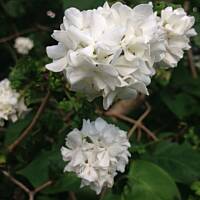 Piękno natury... :)