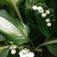 Piękno natury... :)