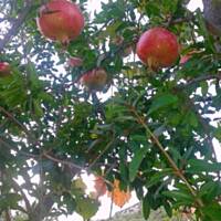 Jesienna Chorwacja :)