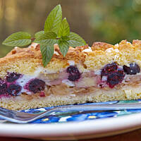 Pleśniak borówkowy bardzo delikatny