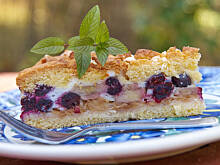 Fot. Wkn, Pleśniak borówkowy bardzo delikatny