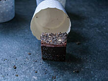 Fot. kanielak, makowiec wegański bez pieczenia