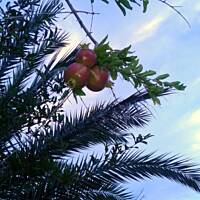 Jesienna Chorwacja :)