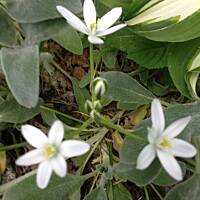 Piękno natury... :)