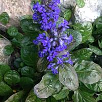 Piękno natury... :)