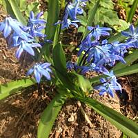 Piękno natury... :)