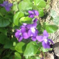 Piękno natury... :)