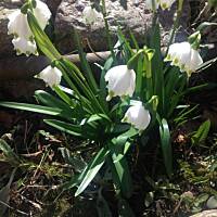 Piękno natury... :)