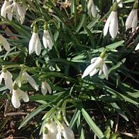 Piękno natury... :)